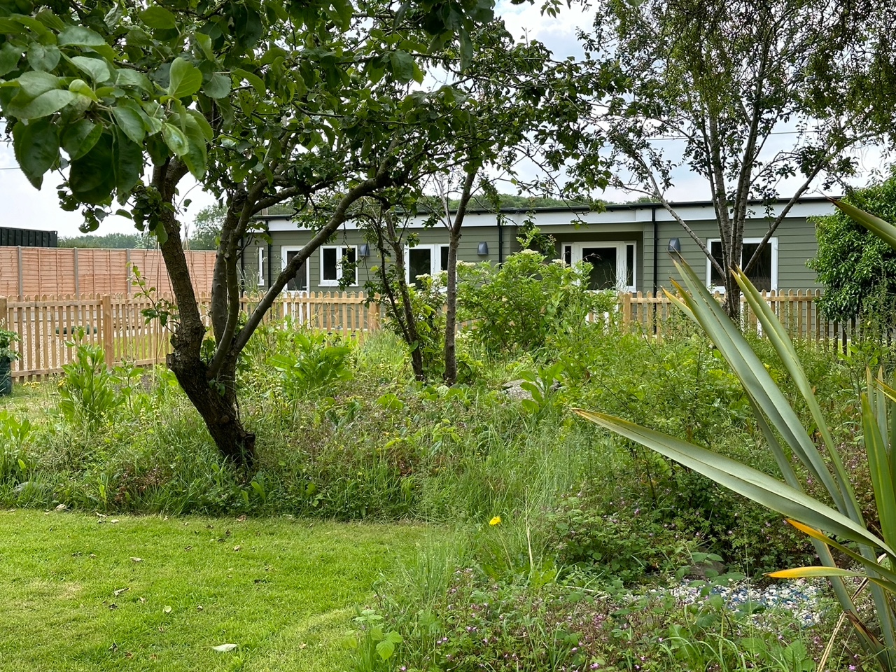 Garden & Pond