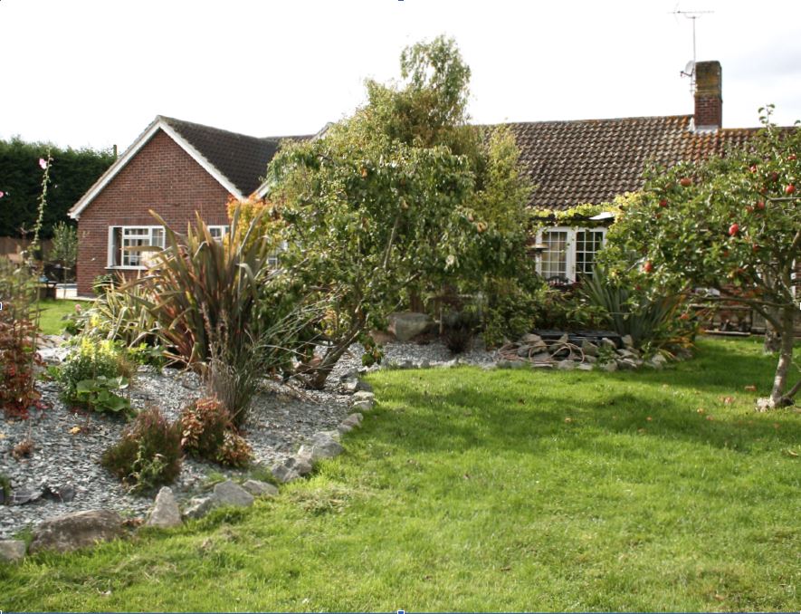 Garden & Pond