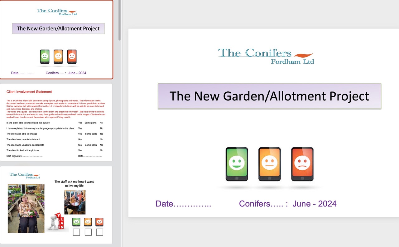 Conifers Guide